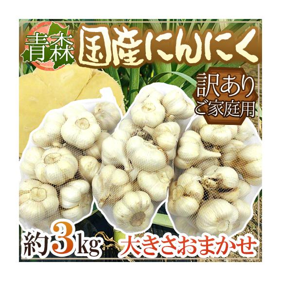 【送料無料】青森県 訳あり ”国産にんにく” 約3kg 大きさおまかせ