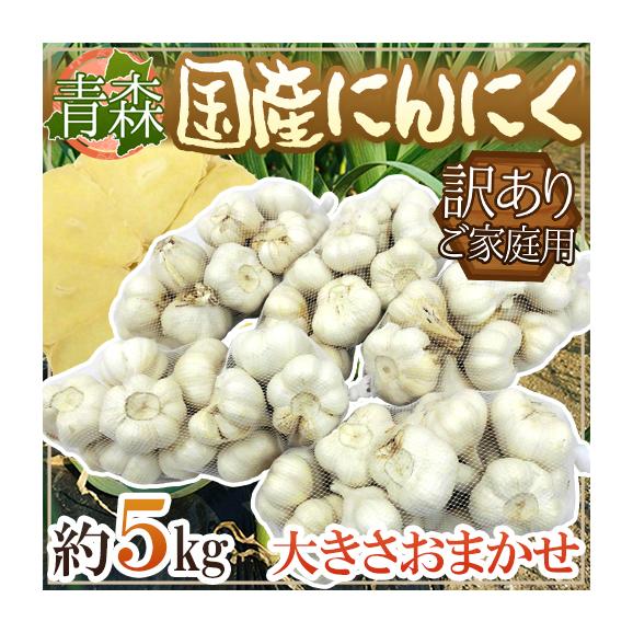 【送料無料】青森県 訳あり ”国産にんにく” 約5kg 大きさおまかせ