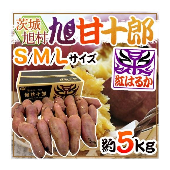 茨城県 旭村 熟成高糖度さつまいも ”旭甘十郎 紅はるか” S/M/Lサイズ 約5kg サツマイモ【予約 1月末以降】 送料無料