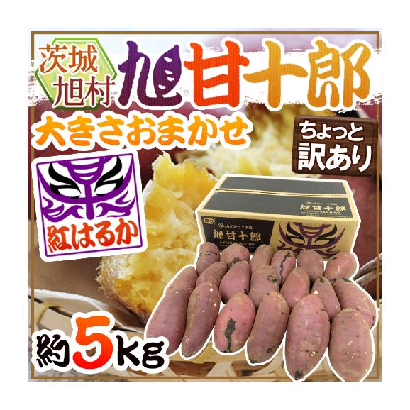 茨城県 旭村 熟成高糖度さつまいも ”旭甘十郎 紅はるか” ちょっと訳あり 約5kg 大きさおまかせ サツマイモ【予約 1月末以降】 送料無料