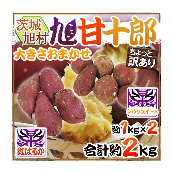 熟成高糖度さつまいも ”茨城県 旭村 旭甘十郎 紅はるか＋シルクスイート 食べ比べセット” ちょっと訳あり 大きさおまかせ 合計約2kg【予約 1月末以降】 送料無料