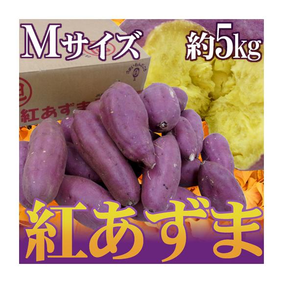 千葉・茨城県産 ”紅あずま” Mサイズ 約5kg さつまいも【予約 入荷次第発送】