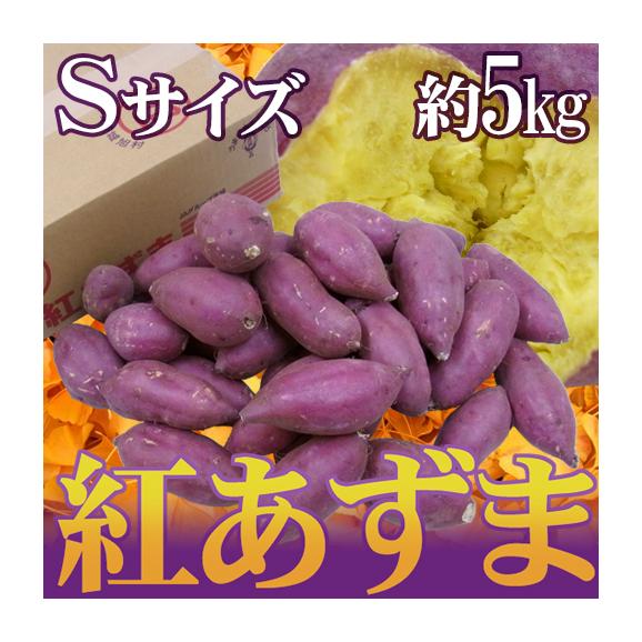 千葉・茨城県産 ”紅あずま” Sサイズ 約5kg さつまいも【予約 入荷次第発送】