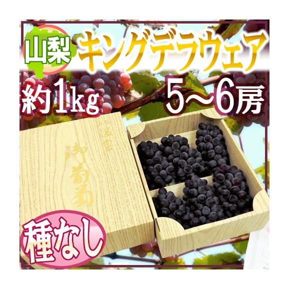 山梨産 種なしぶどう ”キングデラウェア” 5～6房 約1kg 化粧箱【予約 5月下旬以降】 送料無料