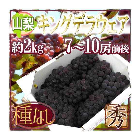 山梨産 種なしぶどう ”キングデラウェア” 7～10房前後 約2kg【予約 5月下旬以降】 送料無料
