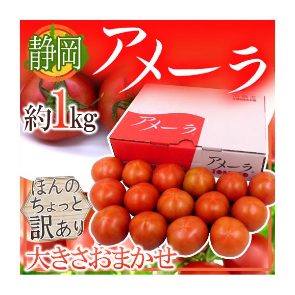 静岡県 ”高糖度フルーツトマト アメーラ” 大きさおまかせ 約1kg ほんのちょっと訳あり 化粧箱入り【予約 入荷次第発送】