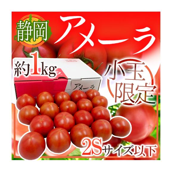 静岡県 ”高糖度フルーツトマト アメーラ” 2S以下 小玉限定 約1kg 化粧箱入り