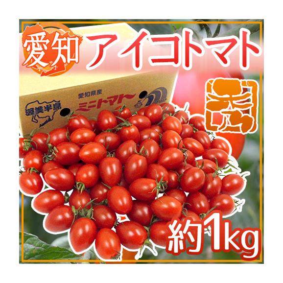 愛知県産 ”アイコトマト” 秀品 約1kg【予約 11月下旬以降】