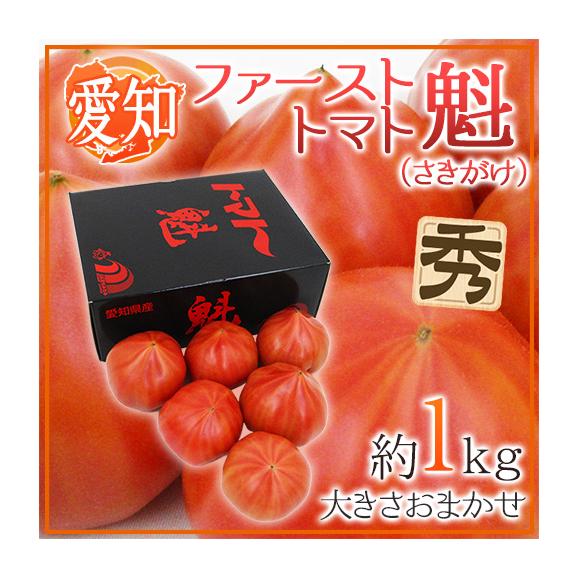愛知県産 ”ファーストトマト 魁” 約1kg 大きさおまかせ 化粧箱 糖度8度以上【予約 3月末以降】 送料無料
