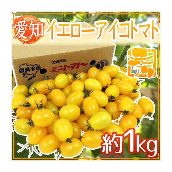 愛知県産 ”イエローアイコトマト” 秀品 約1kg【予約 11月下旬以降】