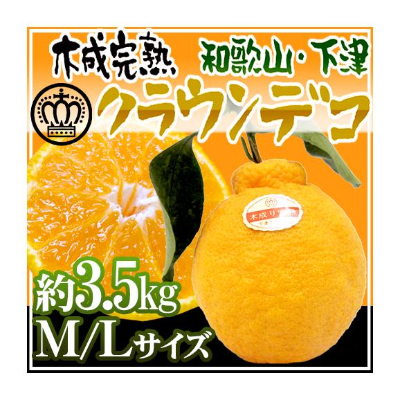 和歌山県下津産 ”樹上完熟 クラウンデコ” M/Lサイズ 約3.5kg【予約 3月以降】 送料無料