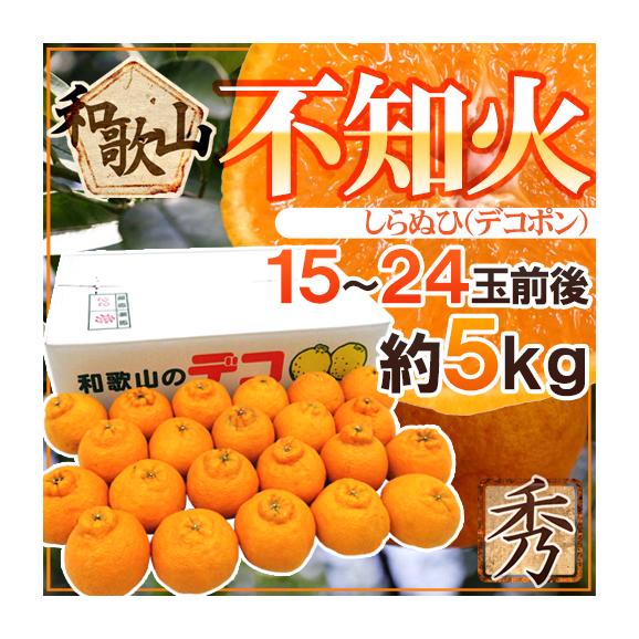 和歌山産 ”不知火・しらぬい（デコポン）” 秀品 15～24玉前後 約5kg 産地箱【予約 2月以降】 送料無料