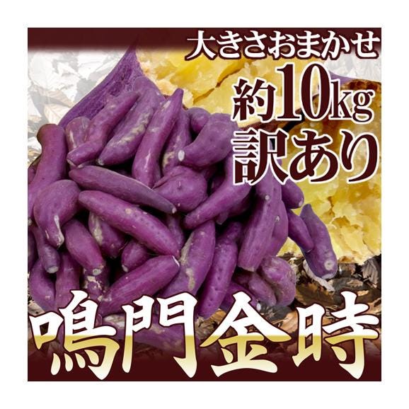 徳島県産 ”鳴門金時” 訳あり 約10kg 大きさおまかせ さつまいも【予約 入荷次第発送】