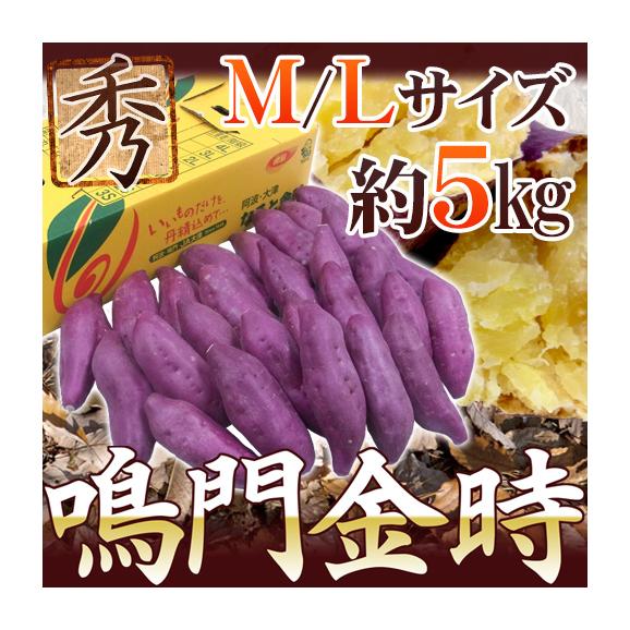 徳島県産 ”鳴門金時” 秀品 M～Lサイズ 約5kg さつまいも【予約 入荷次第発送】