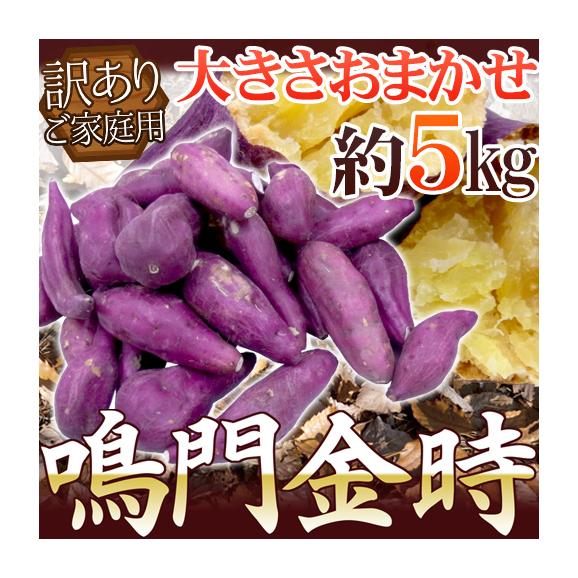 徳島県産 ”鳴門金時” 訳あり 約5kg 大きさおまかせ さつまいも【予約 入荷次第発送】