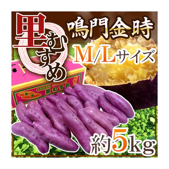 徳島県産 ”鳴門金時 里むすめ” 秀品 M～Lサイズ 約5kg さつまいも【予約 入荷次第発送】