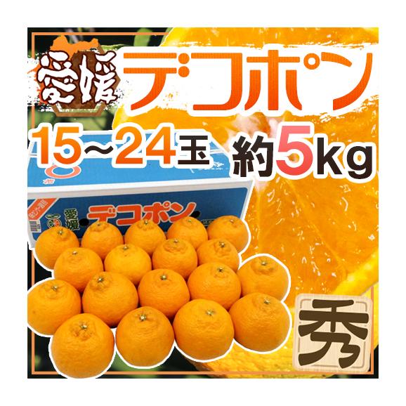 愛媛産 ”デコポン” 秀品 15～24玉 約5kg 糖度13度以上保証【予約 3月以降】 送料無料