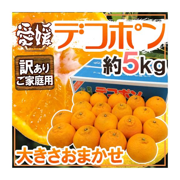 愛媛産 ”デコポン” 訳あり 約5kg 大きさおまかせ 糖度13度以上保証【予約 3月以降】 送料無料