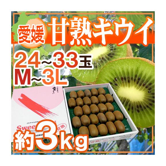 愛媛県 ”甘熟キウイ” 秀品 24～33玉前後 約3kg【予約 12月末以降】 送料無料