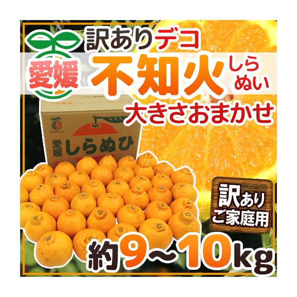 愛媛産 ”不知火・しらぬい（訳ありデコポン）” 約9～10kg 大きさおまかせ【予約 3月以降】 送料無料