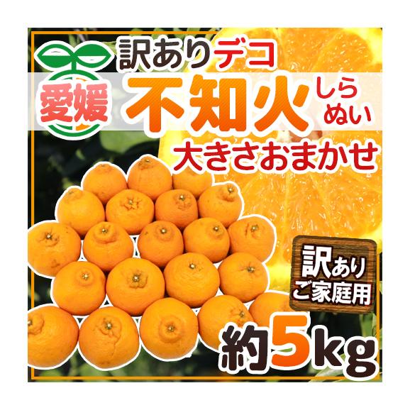 ”愛媛産 不知火・しらぬい（訳ありデコポン）” 約5kg 大きさおまかせ【予約 3月以降】 送料無料