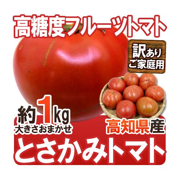 高糖度 夜須のフルーツトマト ”高知県夜須産 とさかみトマト” 約1kg 訳あり・ご家庭用【予約 入荷次第発送】
