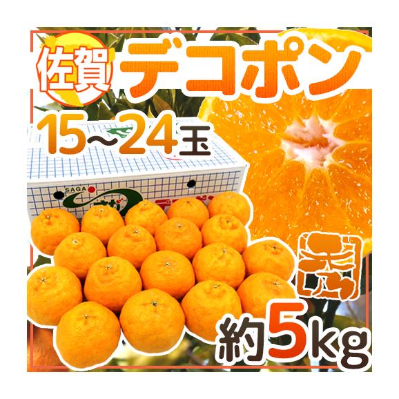 佐賀産 ”デコポン” 秀品 15～24玉 約5kg【予約 1月下旬以降】 送料無料