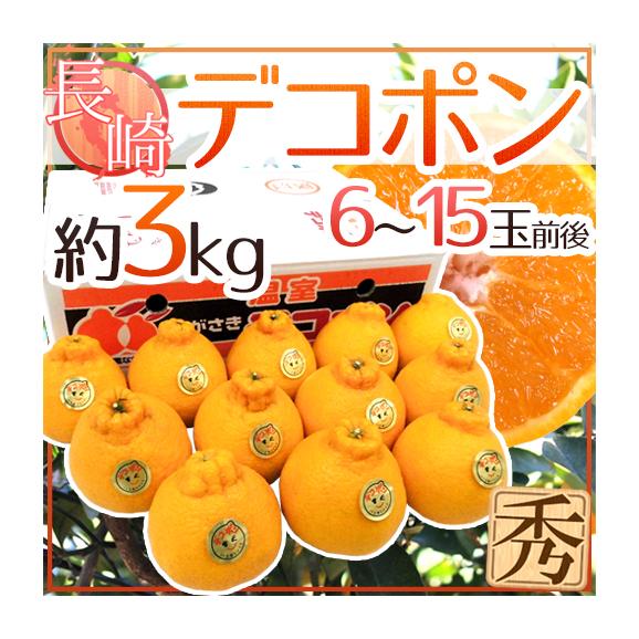 長崎産 ”デコポン” 秀品 6～15玉前後 約3kg【予約 1月下旬以降】 送料無料