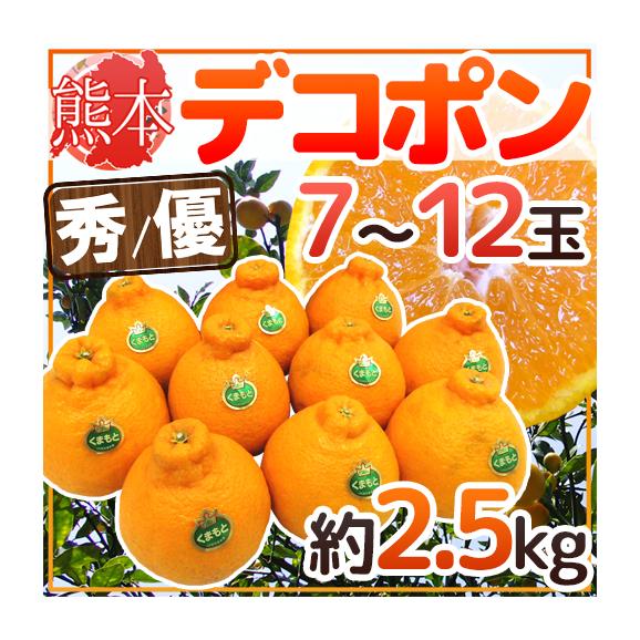 ”熊本産 デコポン” 秀・優品 7～12玉 約2.5kg【予約 1月以降】 送料無料
