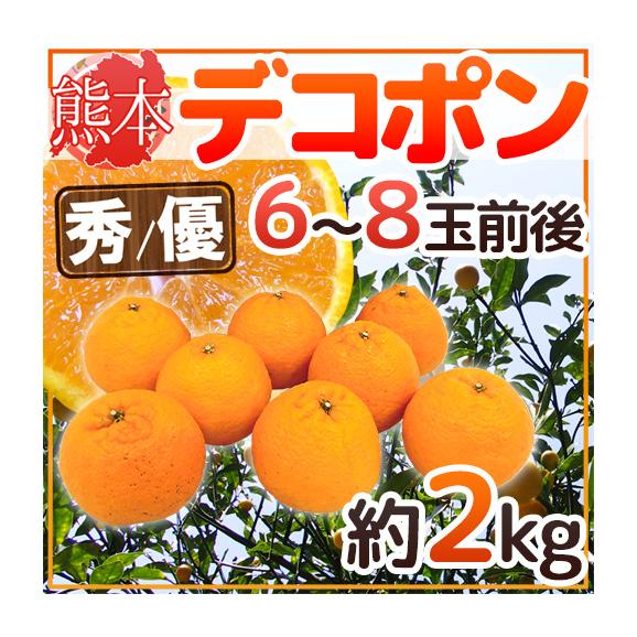 ”熊本産 デコポン” 秀・優品 6～8玉前後 約2kg【予約 1月以降】 送料無料