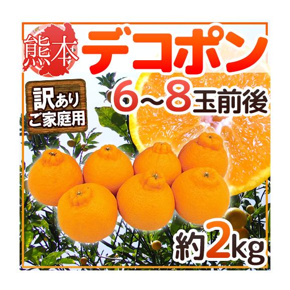 ”熊本産 デコポン” 訳あり 6～8玉前後 約2kg【予約 1月以降】 送料無料