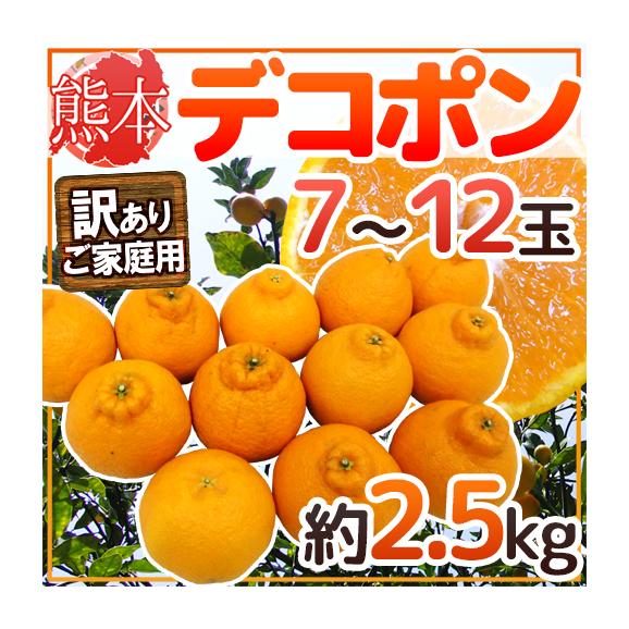 ”熊本産 デコポン” 訳あり 7～12玉 約2.5kg【予約 1月以降】 送料無料