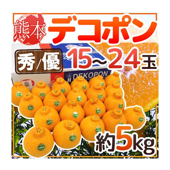 熊本産 ”デコポン” 秀・優品 15～24玉 約5kg【予約 1月以降】 送料無料