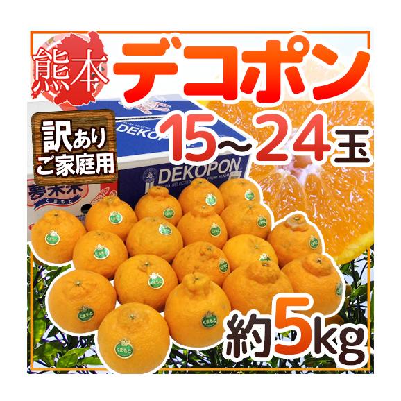 熊本産 ”デコポン” 訳あり 15～24玉 約5kg【予約 1月以降】 送料無料