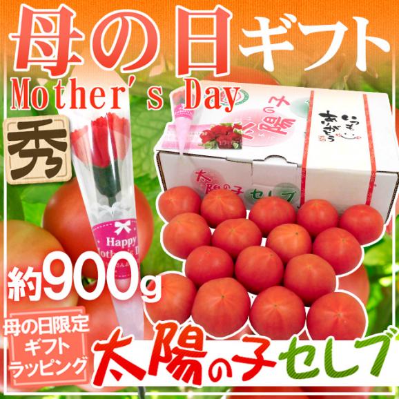母の日ギフト ”太陽の子セレブトマト” 産地箱 約900g カーネーション造花付き【予約 5月3日～5月11日お届け予定】 送料無料