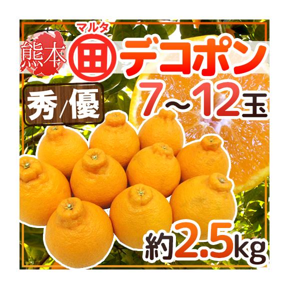 ”熊本産 マルタ（○田）デコポン” 秀・優品 7～12玉 約2.5kg JAあしきたマルタ選果場限定【予約 1月以降】 送料無料