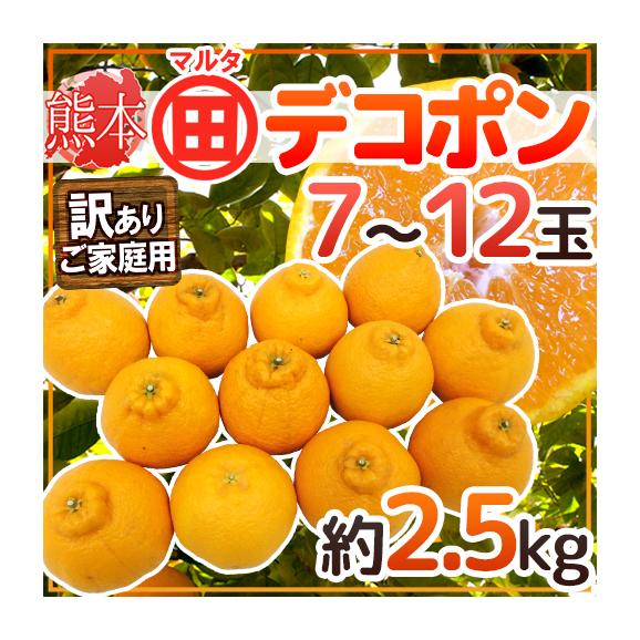 ”熊本産 訳ありデコポン マルタ（○田）デコポン” 7～12玉 約2.5kg JAあしきたマルタ選果場限定【予約 1月以降】 送料無料