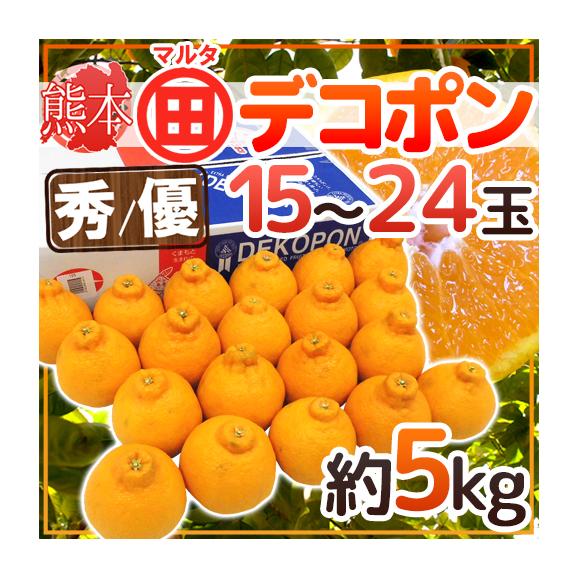熊本産 ”マルタ（○田）デコポン” 秀・優品 15～24玉 約5kg JAあしきたマルタ選果場限定【予約 1月以降】 送料無料