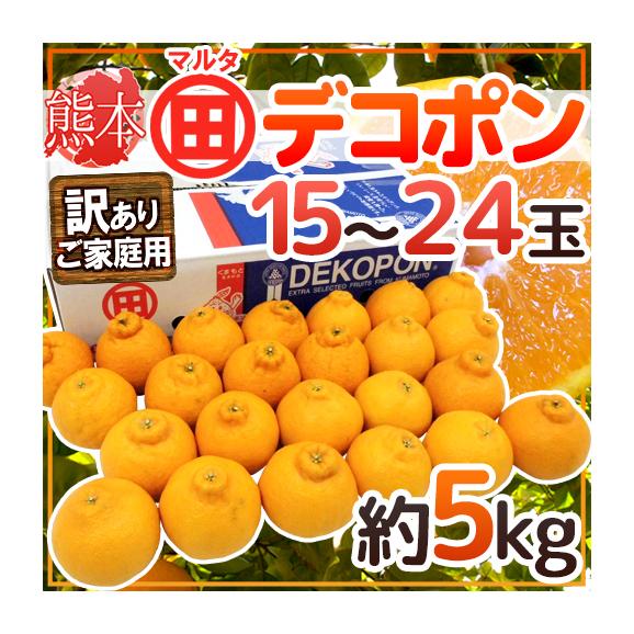 熊本産 訳ありデコポン ”マルタ（○田）デコポン” 15～24玉 約5kg JAあしきたマルタ選果場限定【予約 1月以降】 送料無料