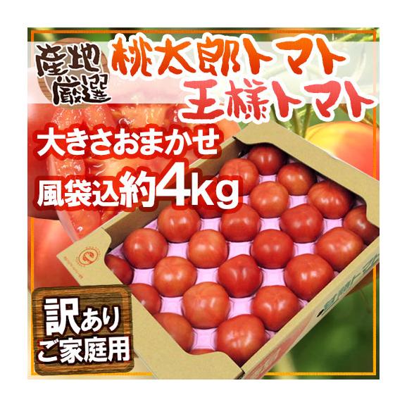 訳あり ”桃太郎トマトor王様トマト ほか” 風袋込約4kg 大きさおまかせ 産地厳選【予約 入荷次第発送】 送料無料