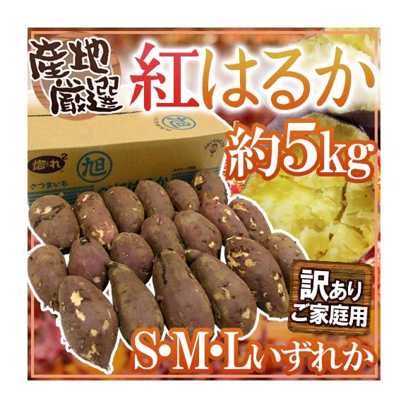 ”紅はるか” 訳あり S・M・Lサイズ 約5kg 産地厳選 さつまいも 送料無料
