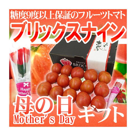 母の日ギフト ”ブリックスナイントマト” 化粧箱 約1kg カーネーション造花付き【予約 5月3日～5月11日お届け予定】 送料無料