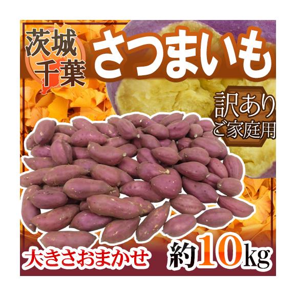 ”さつまいも” 約10kg 千葉・茨城産 訳あり 紅あずま・紅こがね・紅まさり・紅はるか 品種おまかせ 送料無料