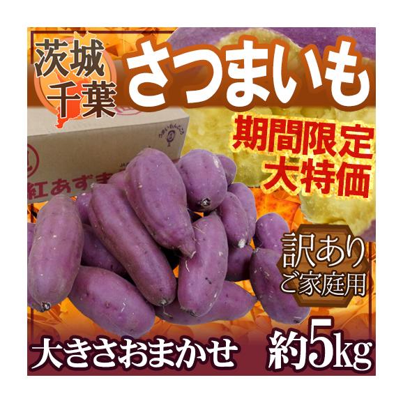 千葉・茨城産 ”さつまいも” 訳あり 約5kg 紅あずま・紅こがね・紅まさり・紅はるか 品種おまかせ 送料無料
