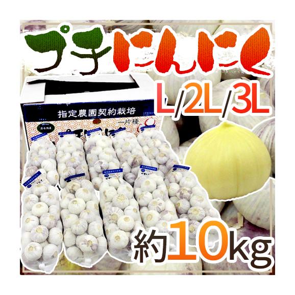 【送料無料】”プチにんにく” L/2L/3L 約10kg