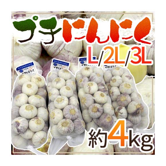 【送料無料】”プチにんにく” L/2L/3L 約4kg