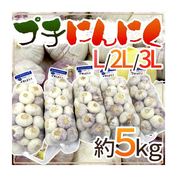 【送料無料】”プチにんにく” L/2L/3L 約5kg