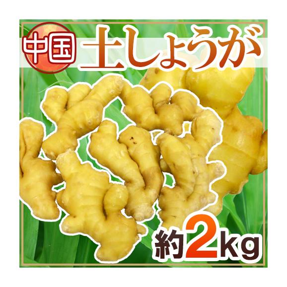 ”土しょうが” 約2kg 肉厚！！老生姜/ひね生姜/古根ショウガ/中国産