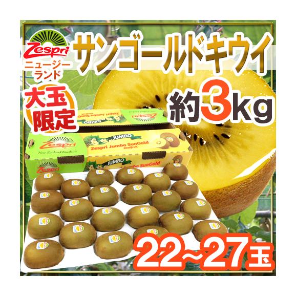 ゼスプリ ”サンゴールドキウイ” 22～27玉 約3kg【予約 4月下旬以降】 送料無料