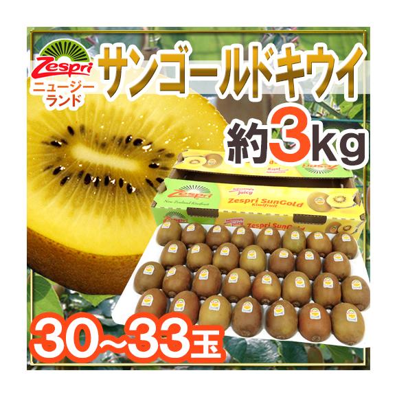 ゼスプリ ”サンゴールドキウイ” 30～33玉 約3kg【予約 4月下旬以降】 送料無料